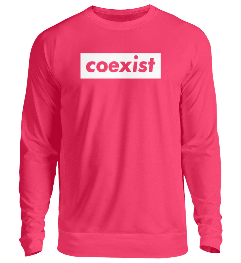 DEZENTE REBELLEN SWEATER MÄDELS • COEXIST - DUNKEL-HARLEKINSHOP