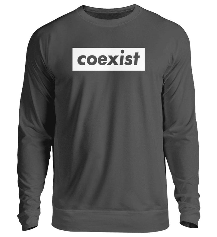 DEZENTE REBELLEN SWEATER MÄDELS • COEXIST - DUNKEL-HARLEKINSHOP