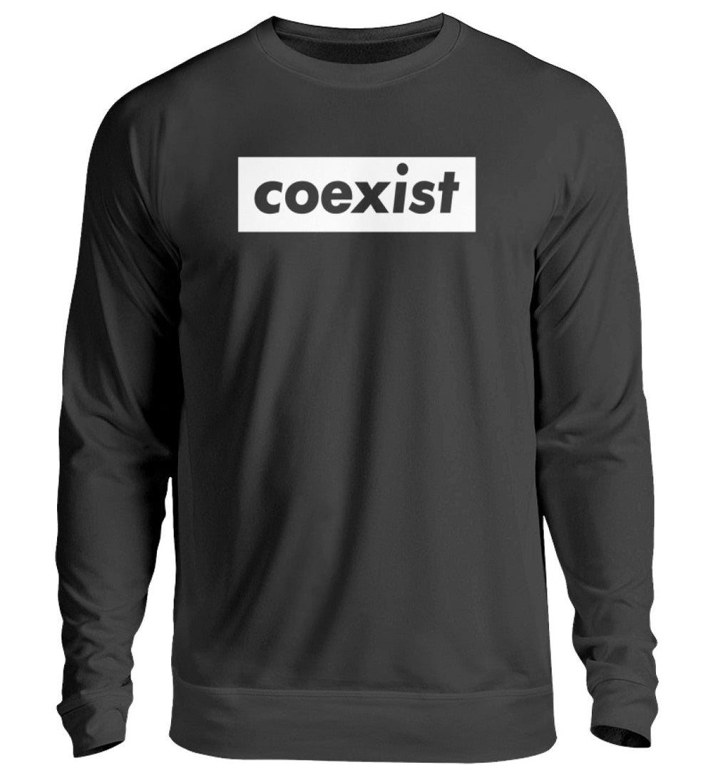 DEZENTE REBELLEN SWEATER MÄDELS • COEXIST - DUNKEL-HARLEKINSHOP