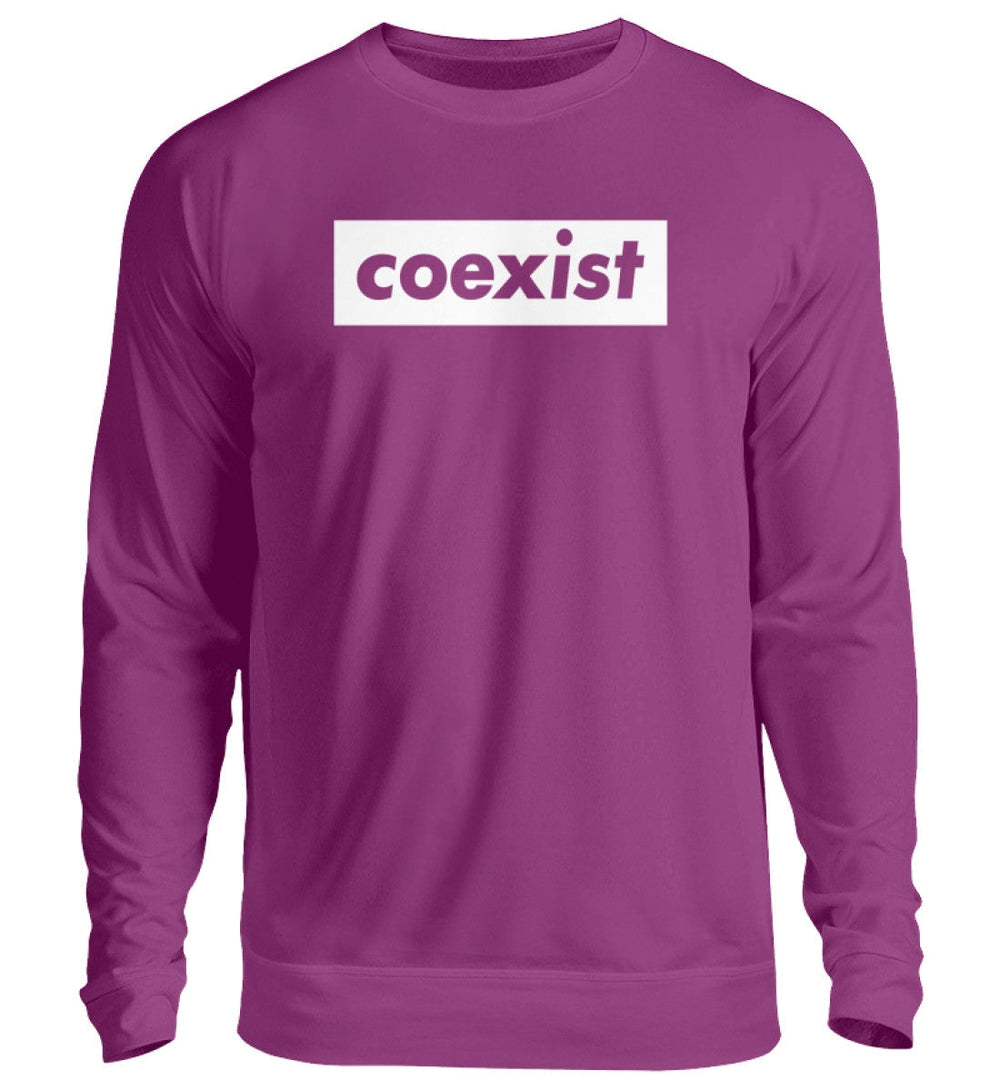 DEZENTE REBELLEN SWEATER MÄDELS • COEXIST - DUNKEL-HARLEKINSHOP