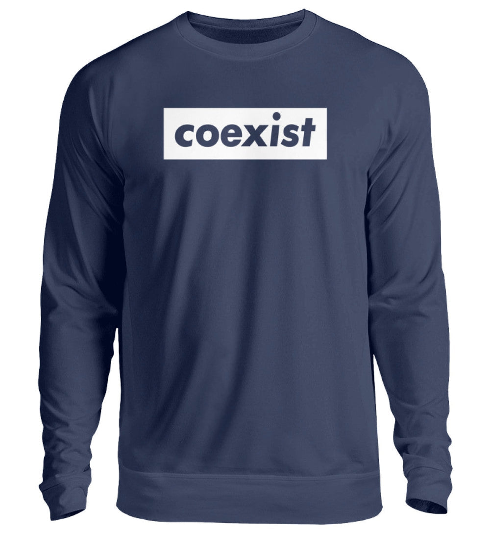 DEZENTE REBELLEN SWEATER MÄDELS • COEXIST - DUNKEL-HARLEKINSHOP