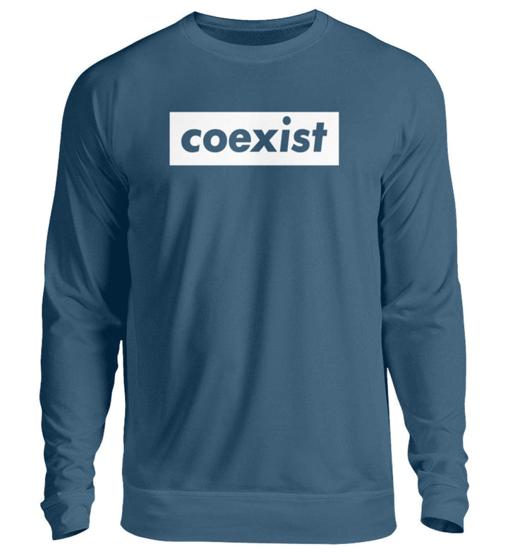 DEZENTE REBELLEN SWEATER MÄDELS • COEXIST - DUNKEL-HARLEKINSHOP