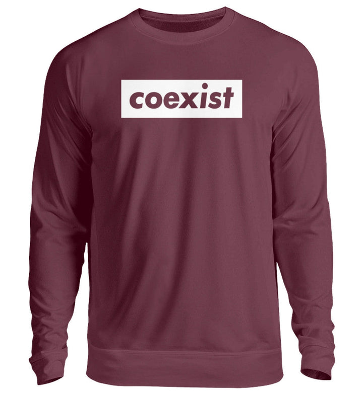 DEZENTE REBELLEN SWEATER MÄDELS • COEXIST - DUNKEL-HARLEKINSHOP
