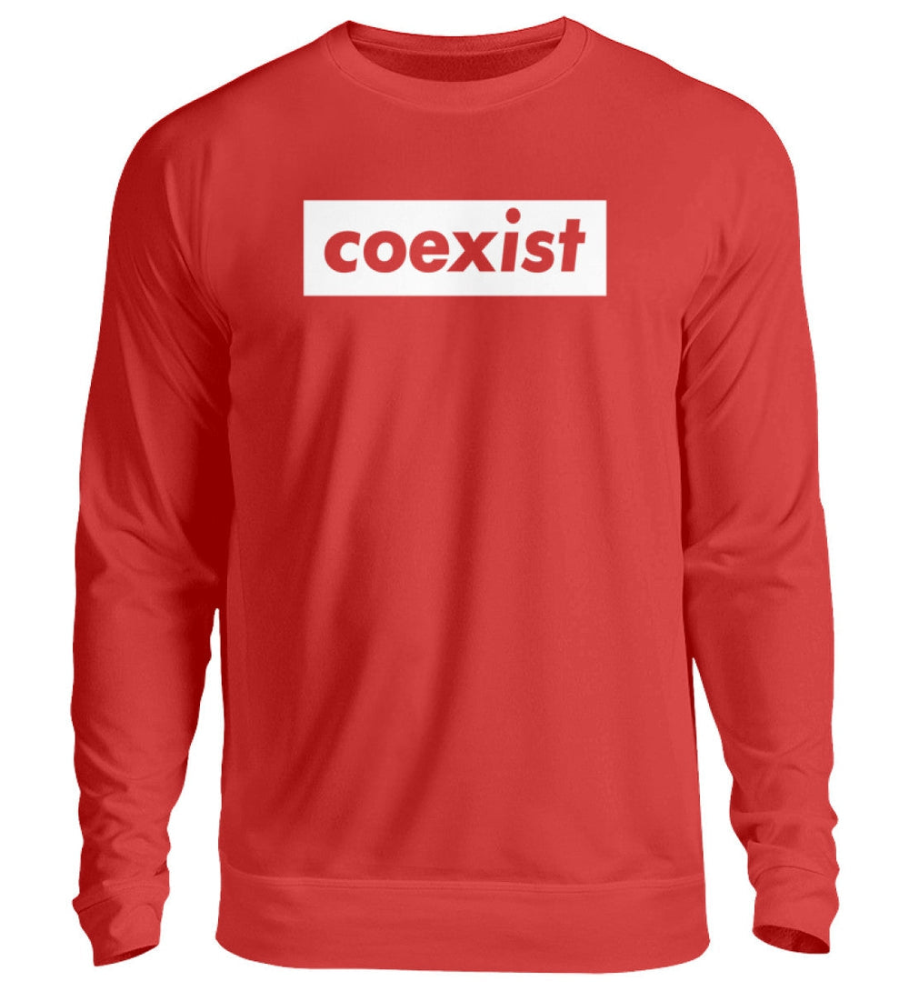 DEZENTE REBELLEN SWEATER MÄDELS • COEXIST - DUNKEL-HARLEKINSHOP
