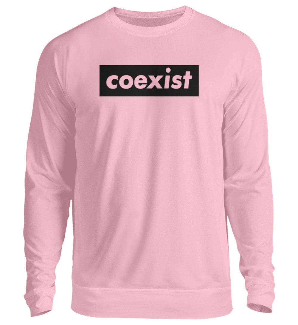 DEZENTE REBELLEN SWEATER MÄDELS • COEXIST - HELL-HARLEKINSHOP