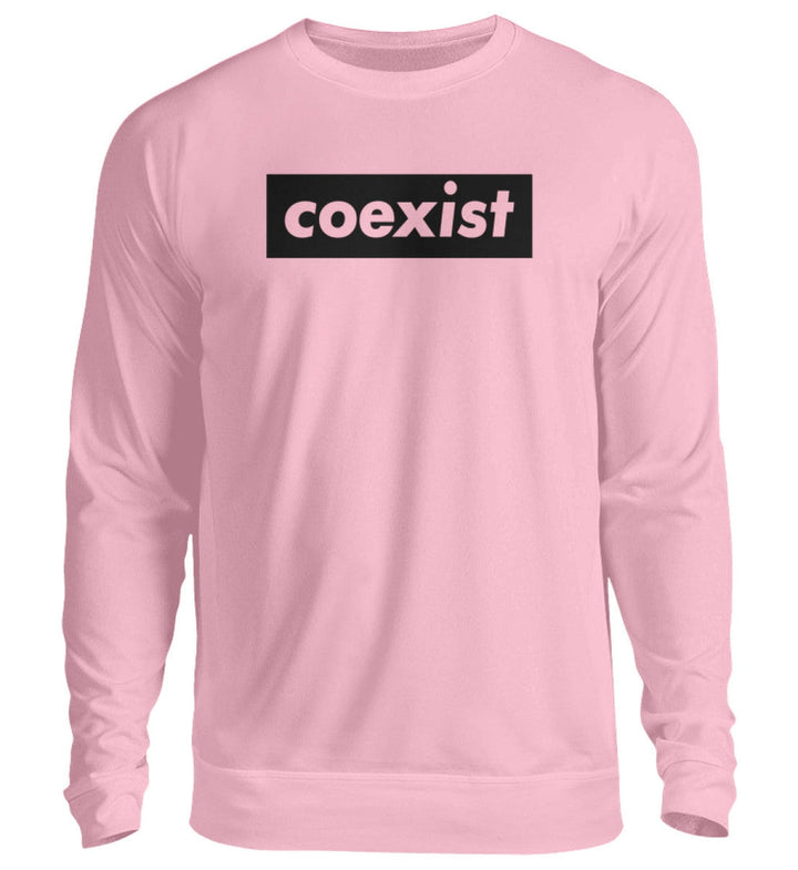 DEZENTE REBELLEN SWEATER MÄDELS • COEXIST - HELL-HARLEKINSHOP