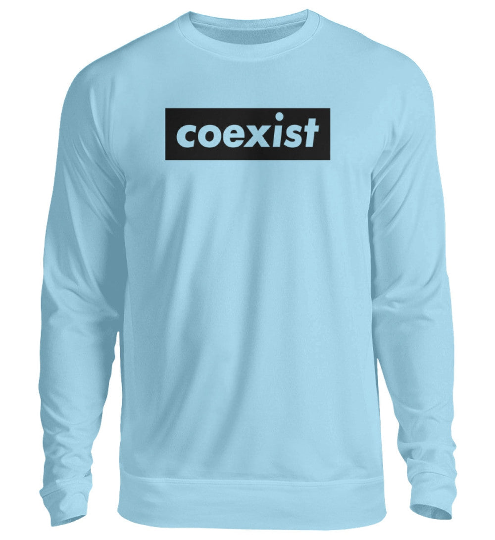 DEZENTE REBELLEN SWEATER MÄDELS • COEXIST - HELL-HARLEKINSHOP