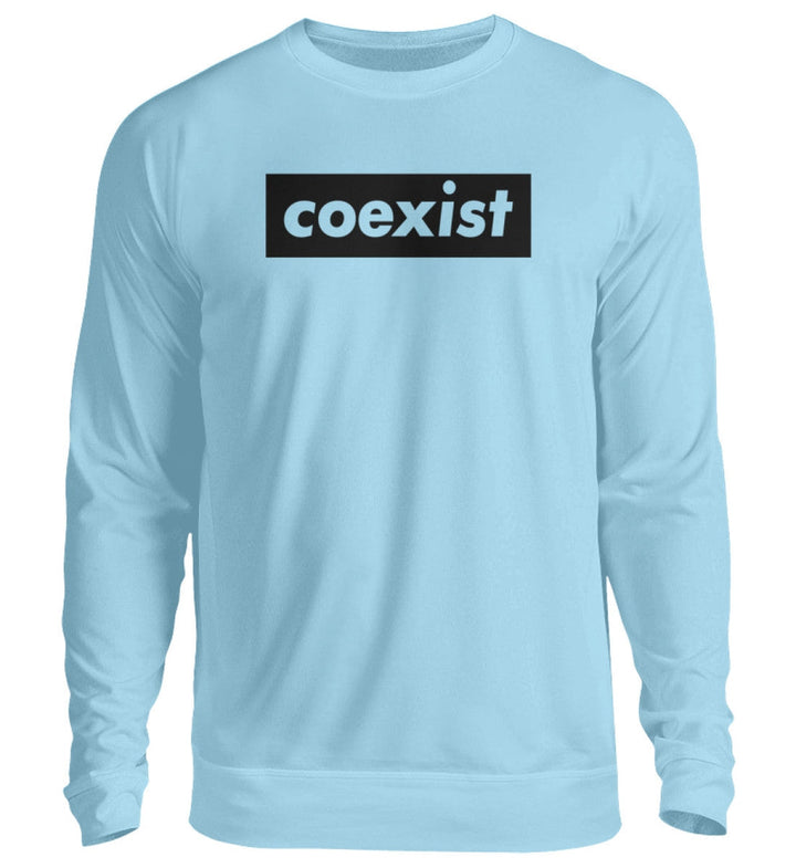 DEZENTE REBELLEN SWEATER MÄDELS • COEXIST - HELL-HARLEKINSHOP