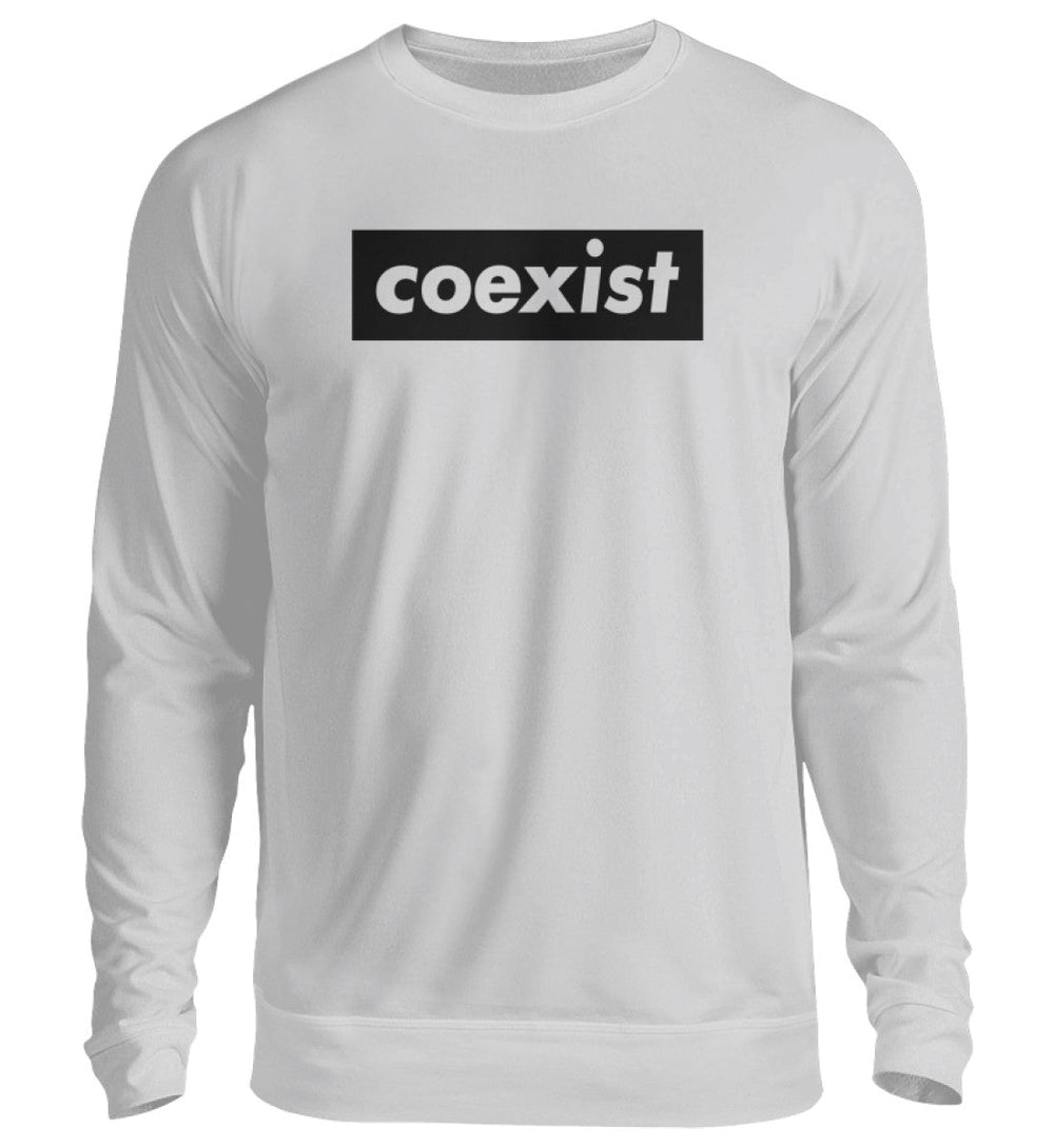DEZENTE REBELLEN SWEATER MÄDELS • COEXIST - HELL-HARLEKINSHOP
