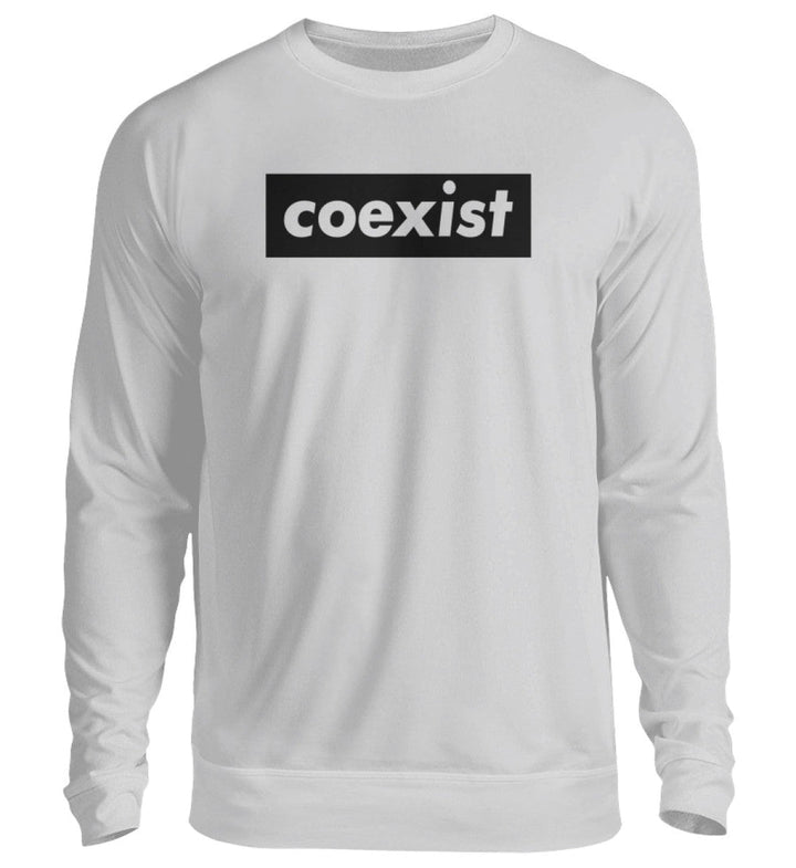 DEZENTE REBELLEN SWEATER MÄDELS • COEXIST - HELL-HARLEKINSHOP