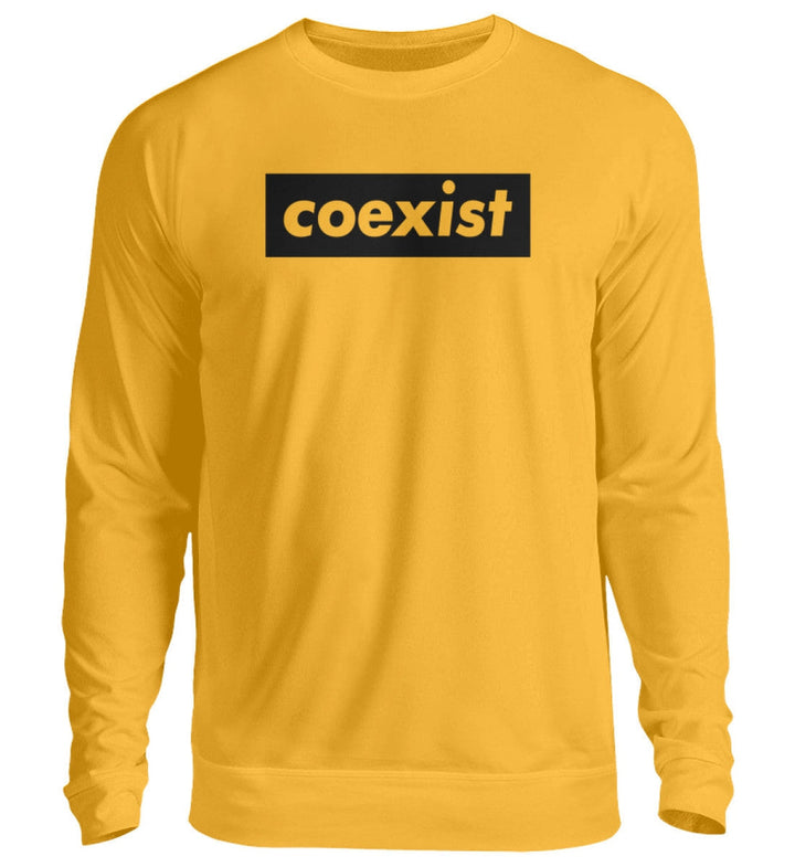 DEZENTE REBELLEN SWEATER MÄDELS • COEXIST - HELL-HARLEKINSHOP