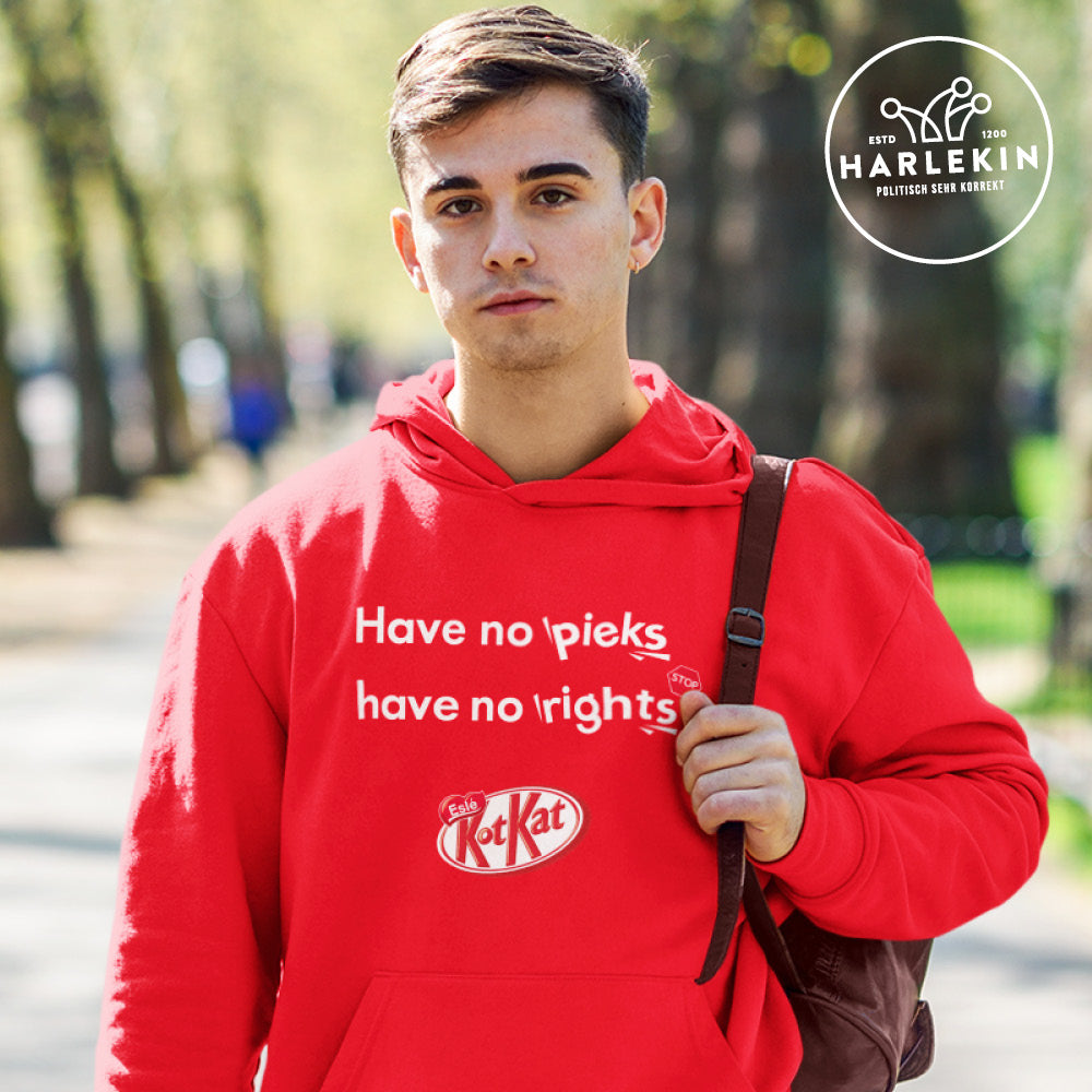 DIE WERBEANSTALT HOODIE BUBEN • KOTKAT: NO PIEKS NO RIGHTS-HARLEKINSHOP