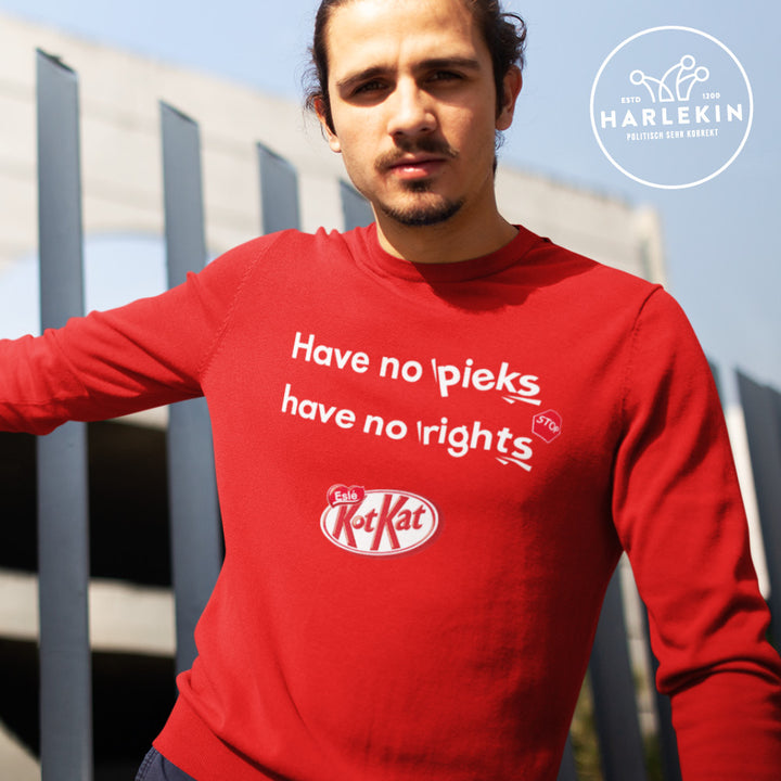 DIE WERBEANSTALT SWEATER BUBEN • KOTKAT: NO PIEKS NO RIGHTS