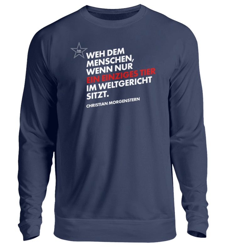 New French Navy-1676