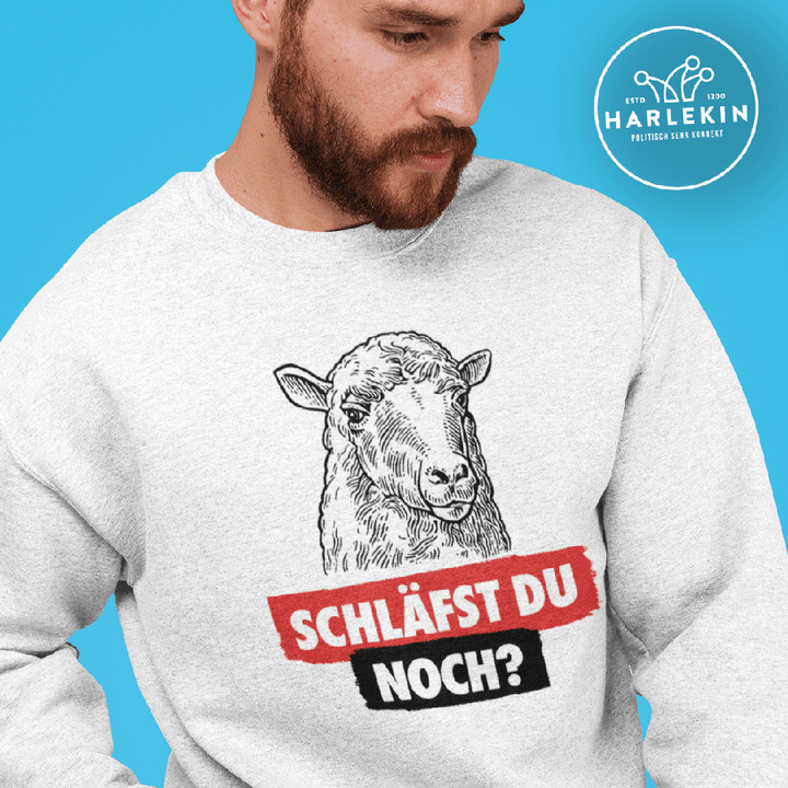 SWEATER BUBEN • SCHAFE / SCHLÄFST DU NOCH?-HARLEKINSHOP