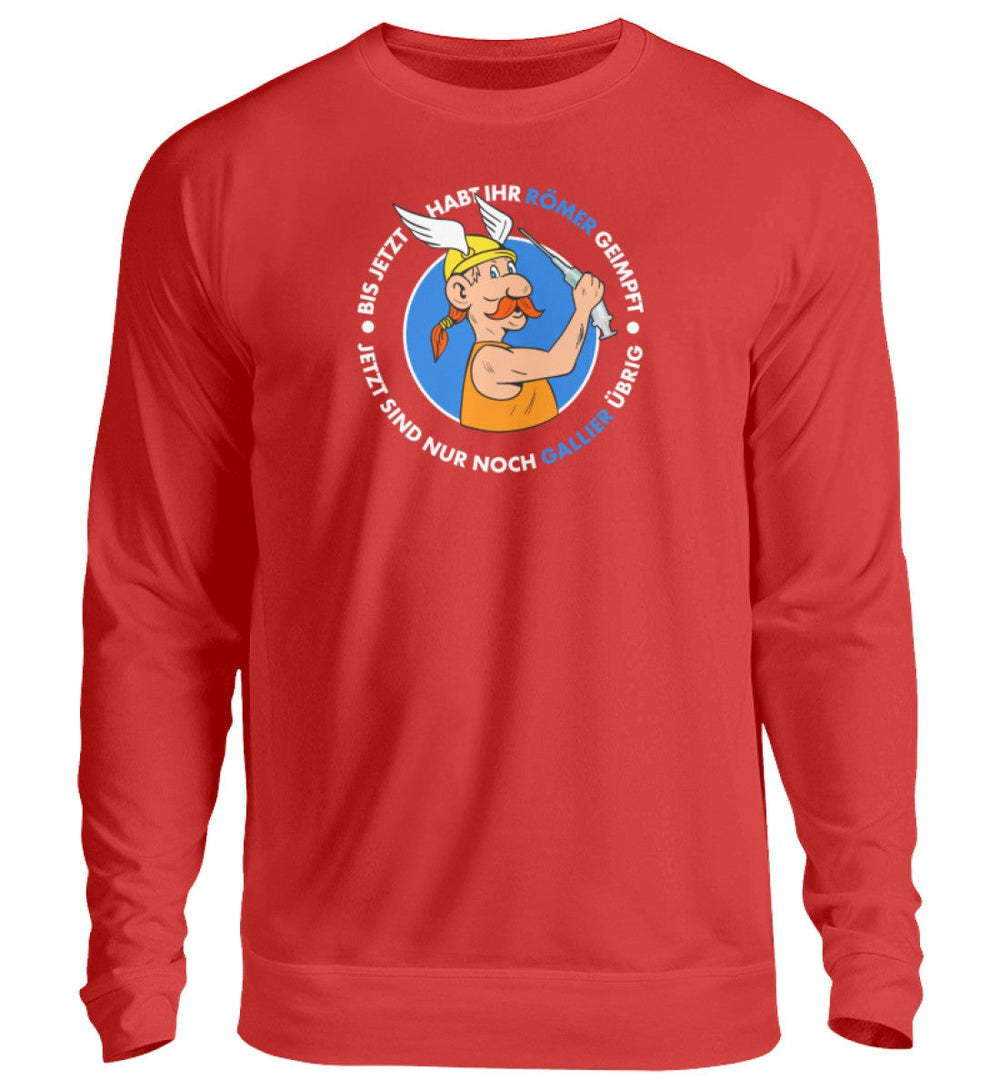 SWEATER MÄDELS • BIS JETZT HABT IHR RÖMER GEIMPFT-HARLEKINSHOP