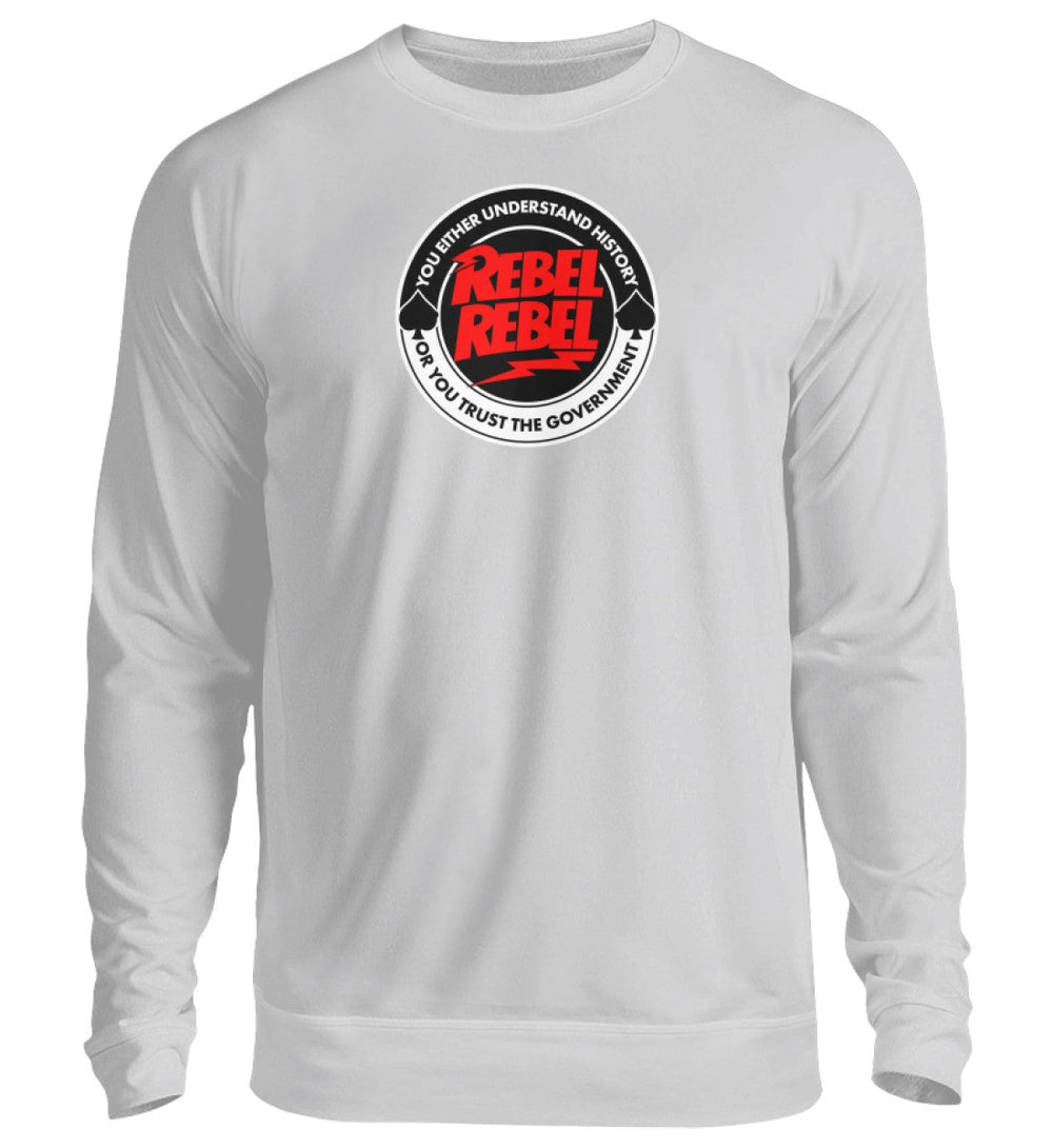 SWEATER MÄDELS • YOU EITHER UNDERSTAND HISTORY OR YOU TRUST THE GOVERNMENT-HARLEKINSHOP