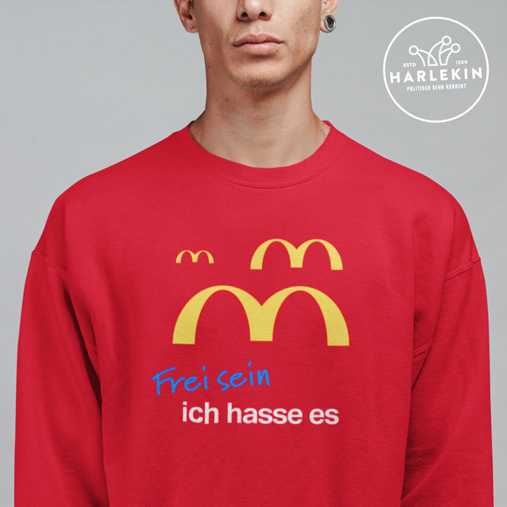DIE WERBEANSTALT SWEATER BUBEN • MCDOOF: FREI SEIN