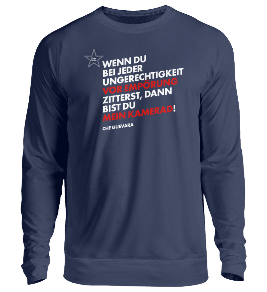 New French Navy-1676