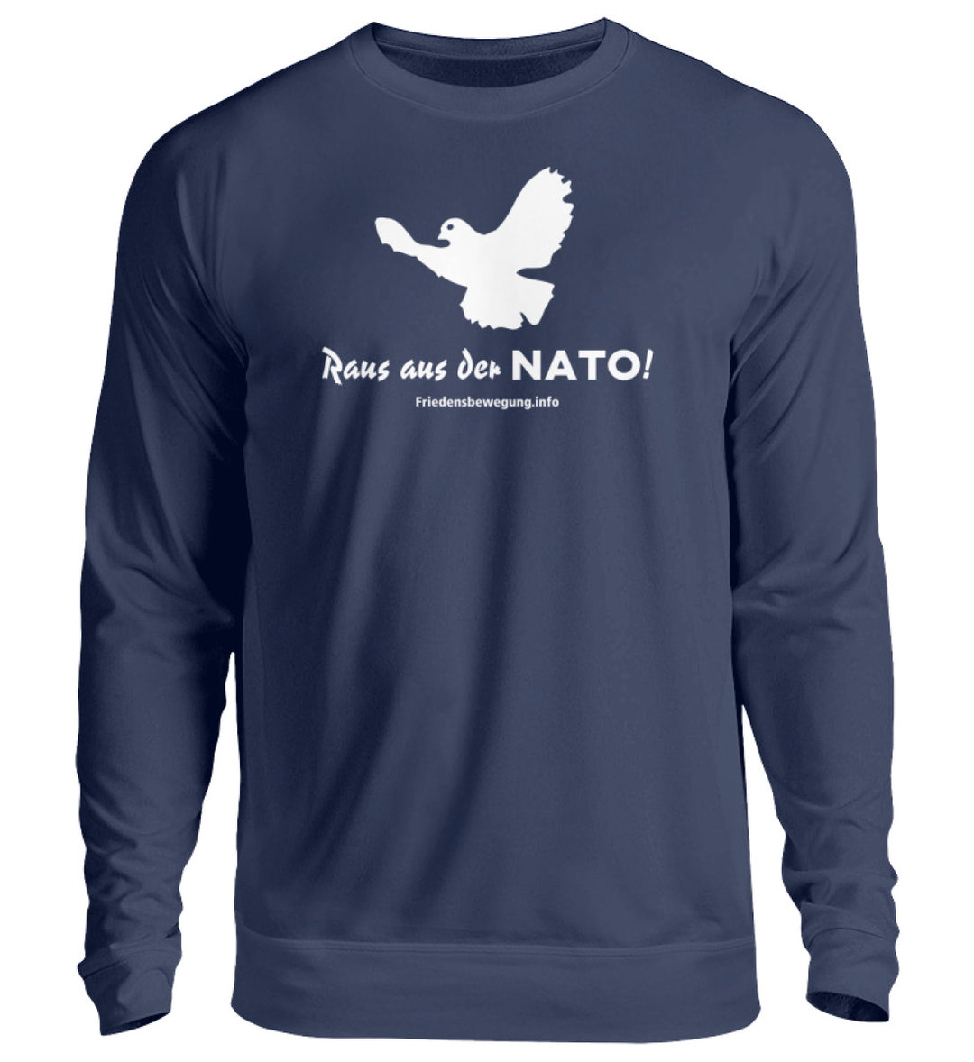 New French Navy-1676