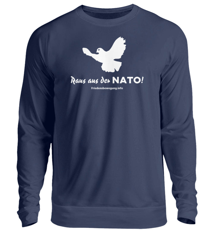 New French Navy-1676