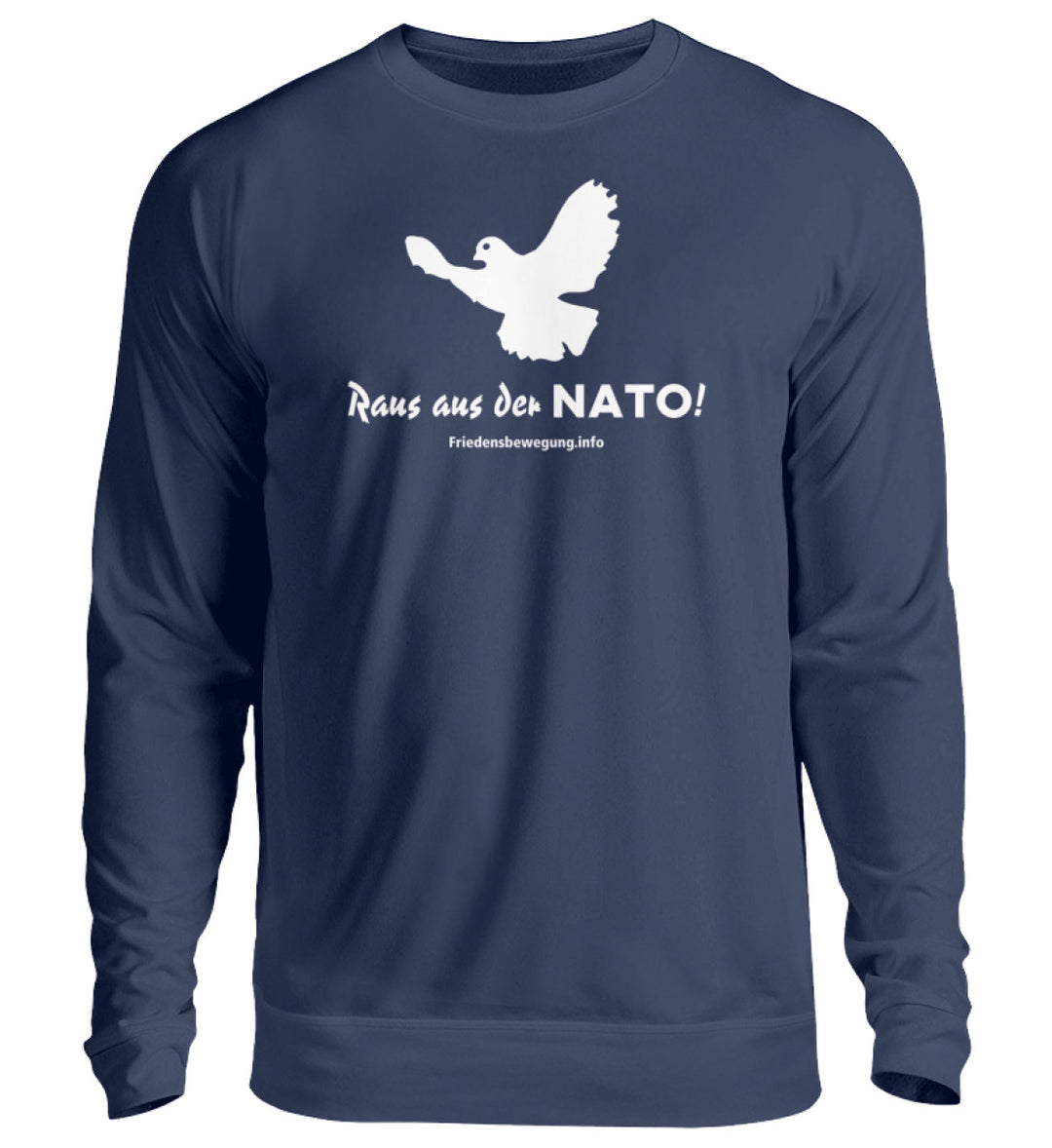 New French Navy-1676