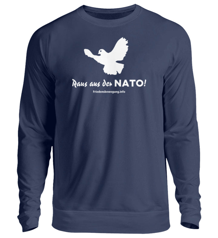 New French Navy-1676