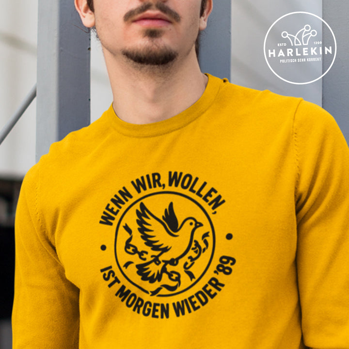 SWEATER BUBEN • WENN WIR WOLLEN, IST MORGEN WIEDER '89 - hell