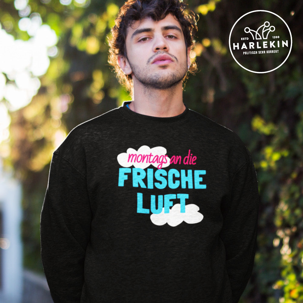 DIE MÖHRE: GRÜNZEUG ORGANIC SWEATER BUBEN • MONTAGS AN DIE FRISCHE LUFT-HARLEKINSHOP