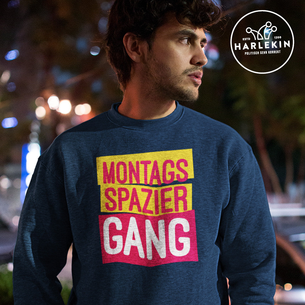 DIE MÖHRE: GRÜNZEUG ORGANIC SWEATER BUBEN • MONTAGSSPAZIER-GANG-HARLEKINSHOP