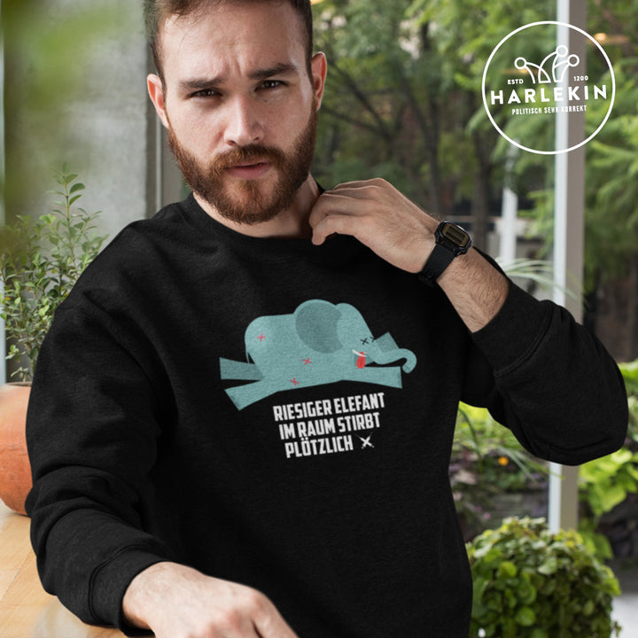 SWEATER BUBEN • PLÖTZLICH UND UNERWARTET: DER ELEFANT IM RAUM