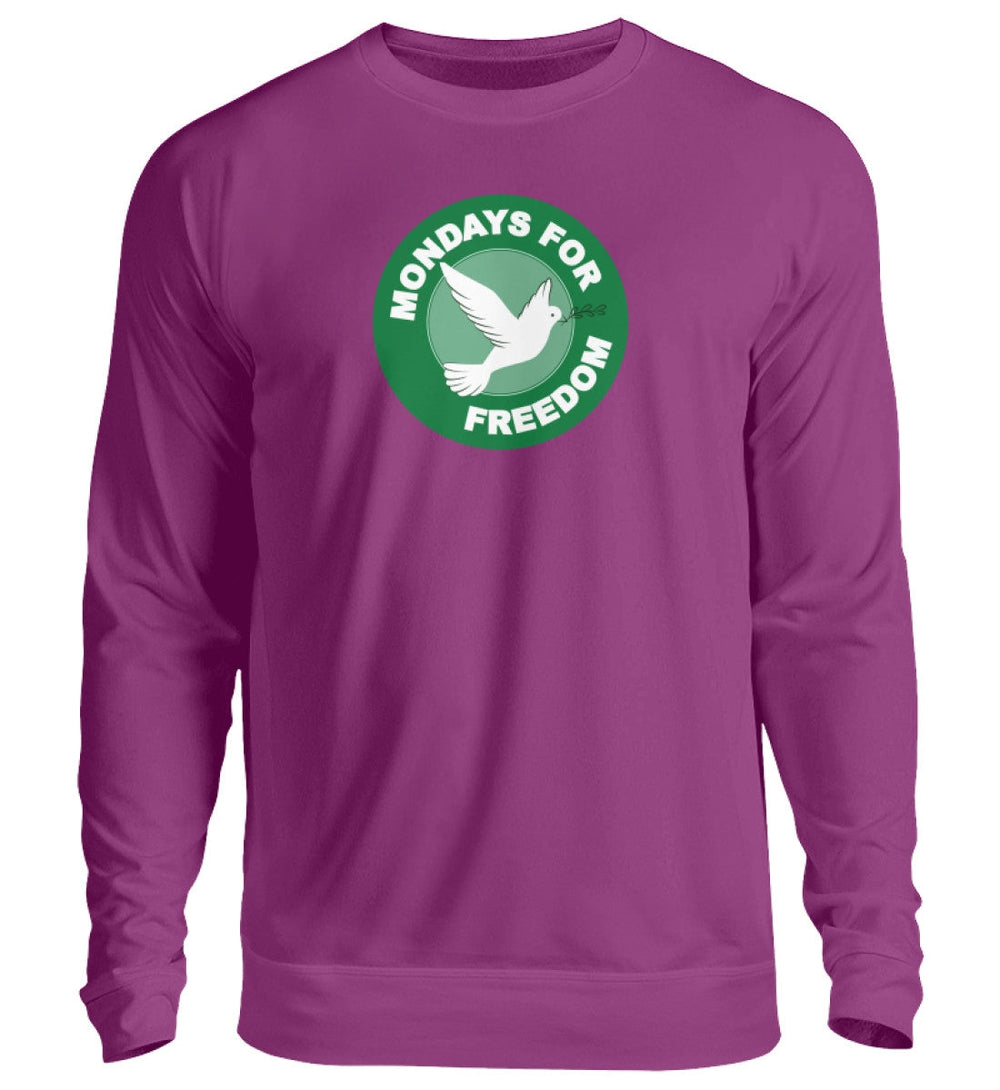 SWEATER BUBEN • MONDAYS FOR FREEDOM-HARLEKINSHOP