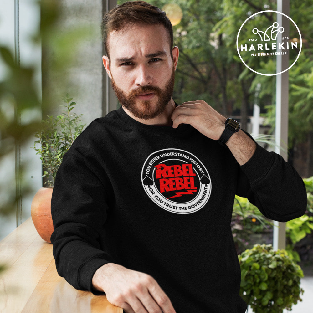 SWEATER BUBEN • YOU EITHER UNDERSTAND HISTORY OR YOU TRUST THE GOVERNMENT-HARLEKINSHOP